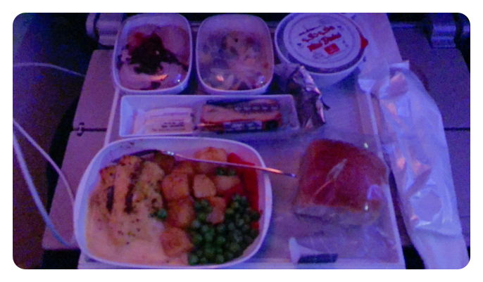 Food in Dubai to USA flights