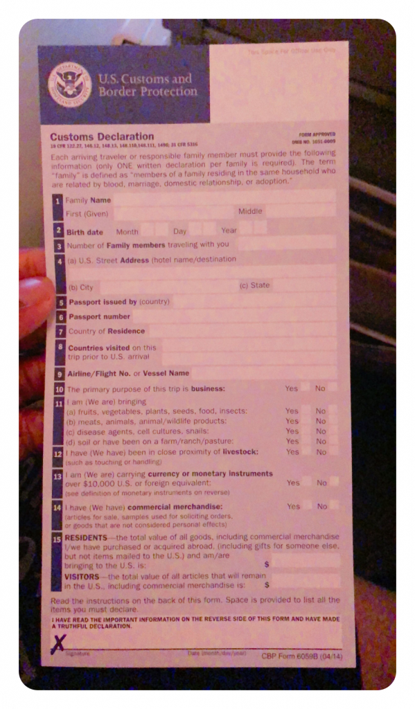 US Customs Immigration Form